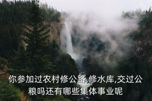 竹林機(jī)械道路修建...